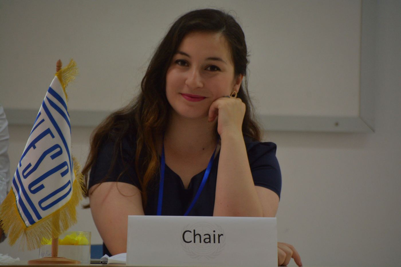 A committee chair at the dais