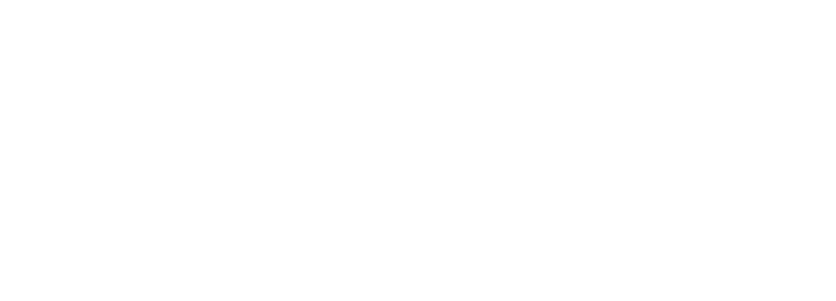 Arab Organisation of Diplomacy